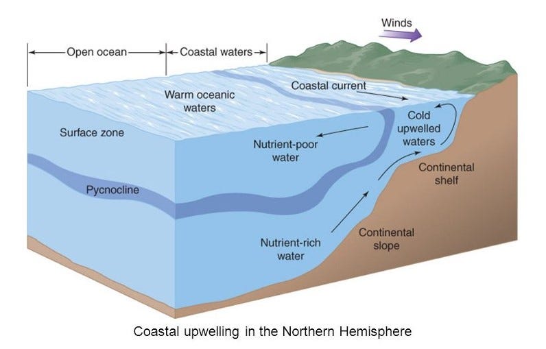 Coastal upwelling cross-section