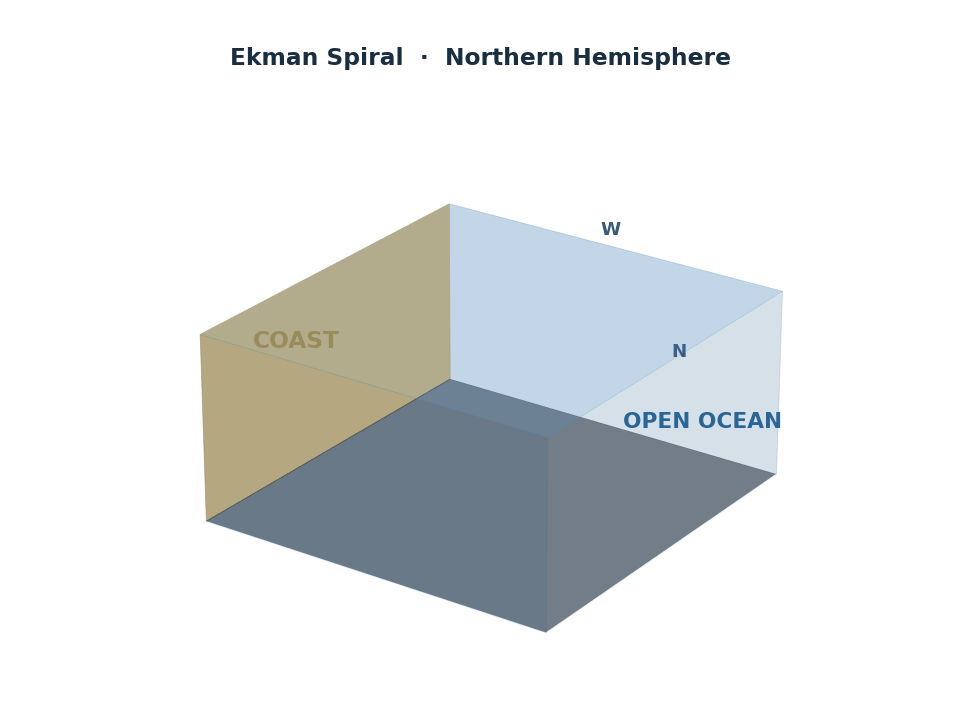 Animation of the Ekman spiral: wind stress at the surface drives a spiral of deflected currents through the water column, with net transport 90° to the right of the wind in the Northern Hemisphere